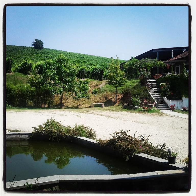 Villa Gran Collina San Damiano dʼAsti Esterno foto